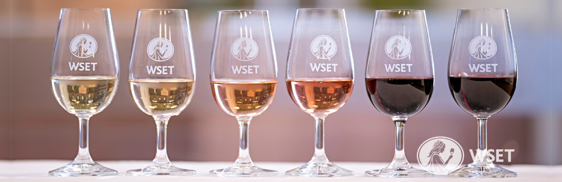 MSA şimdi WSET tarafından akredite bir eğitim merkezi!